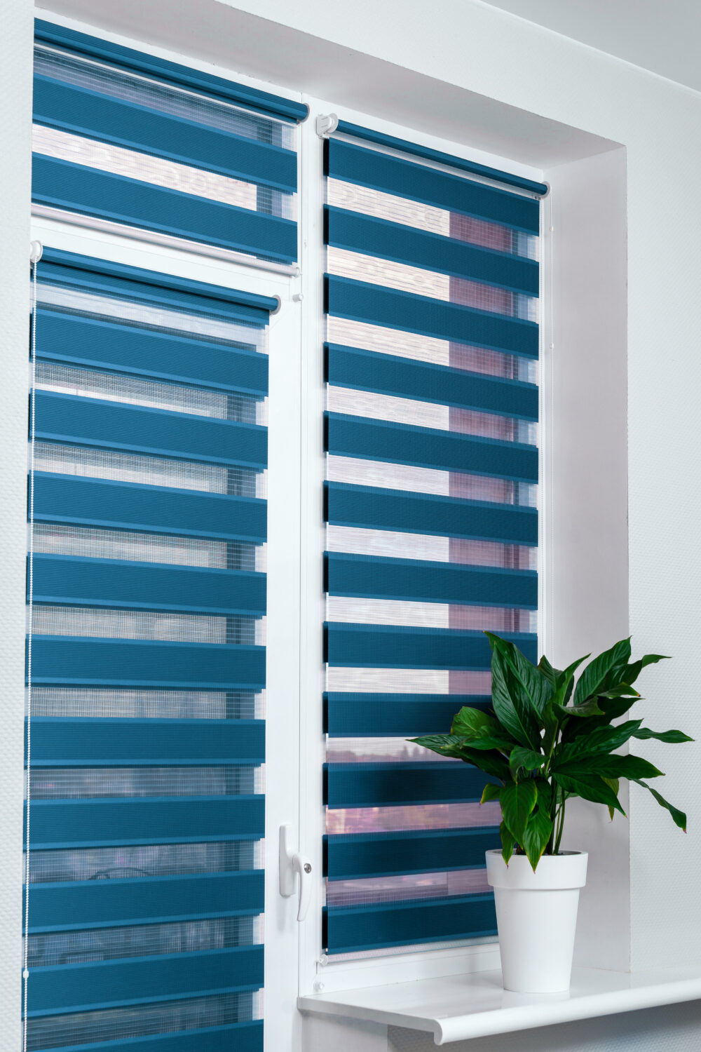 SunDeal® Doppelrollo zur Wandmontage nach Maß | bis zu 190cm Höhe und 140cm Breite möglich